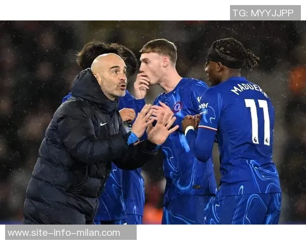 切尔西等五支英超球队争夺麦卡蒂多家国外球队也在密切关注 切尔西等五支英超球队争夺麦卡蒂多家国外球队也在密切关注